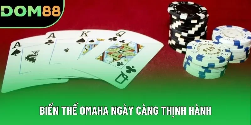 Biển thể Omaha ngày càng thịnh hành Biển thể Omaha ngày càng thịnh hành