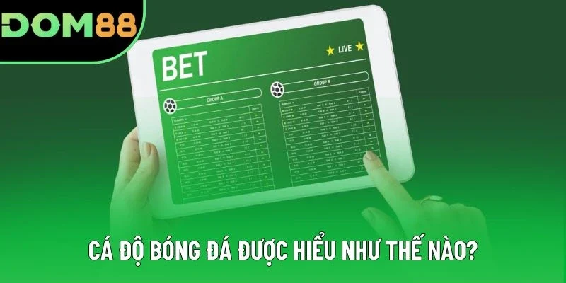 Cá độ bóng đá được hiểu như thế nào? Cá độ bóng đá được hiểu như thế nào?