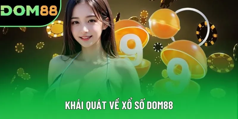 Các thông tin mang tính khái quát về xổ số DOM88 Các thông tin mang tính khái quát về xổ số DOM88