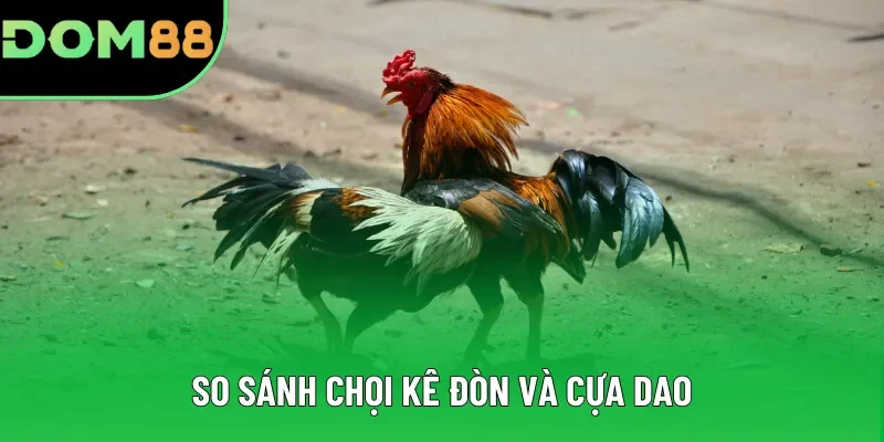 So sánh chọi kê đòn và cựa dao So sánh chọi kê đòn và cựa dao