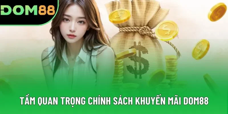 Tầm quan trọng chính sách khuyến mãi DOM88 Tầm quan trọng chính sách khuyến mãi DOM88
