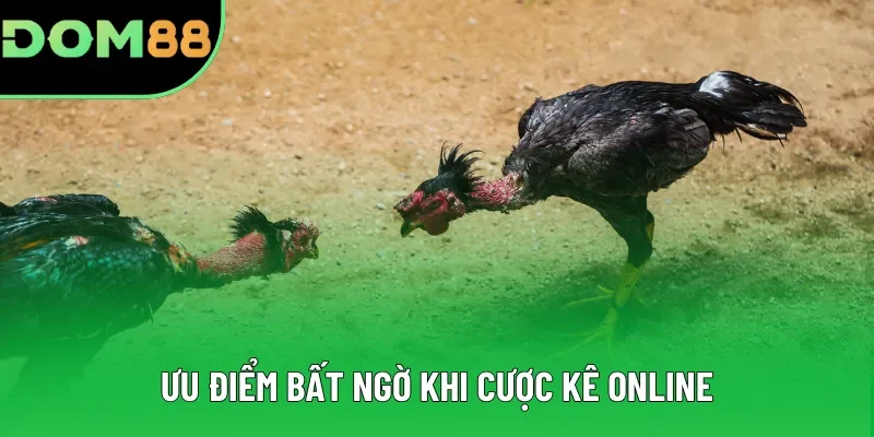 Ưu điểm bất ngờ khi cược kê online Ưu điểm bất ngờ khi cược kê online